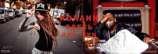 тгк Армянск