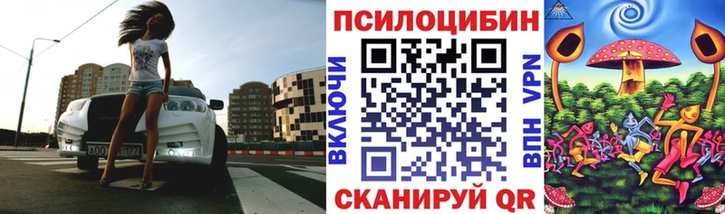 дарк нет официальный сайт Каменск-Шахтинский Галлюциногенные грибы Psilocybe