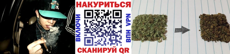 Бошки марихуана гибрид  Каменск-Шахтинский 